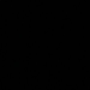 Meet your Posher, Ciera